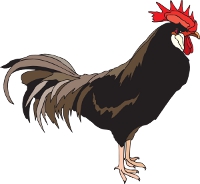 Cockcroft - a smallholding for farming chickens.